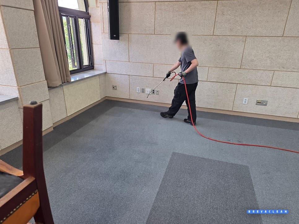 카펫 얼룩을 전용 세제로 전처리하는 모습, 정기청소와 별도로 진행하는 습식청소
