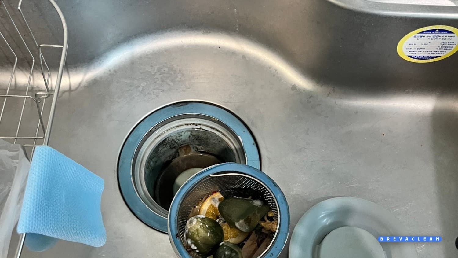 사무실에 초파리가 날아다닌다면, 쓰레기통부터 확인해보세요