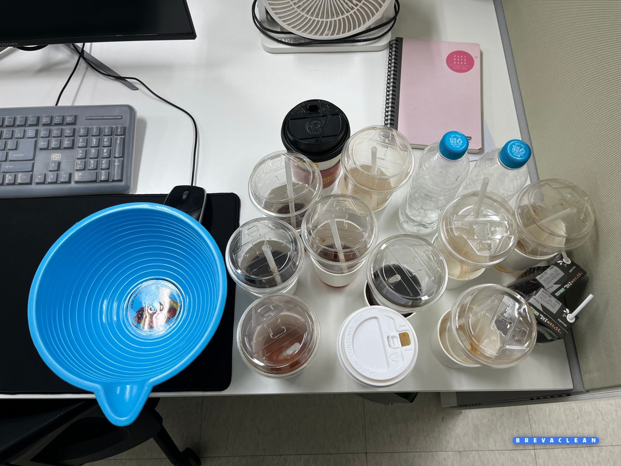 책상 위에 놓인 열두 개의 일회용 컵을 위에서 내려다본 모습